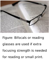 bifocals